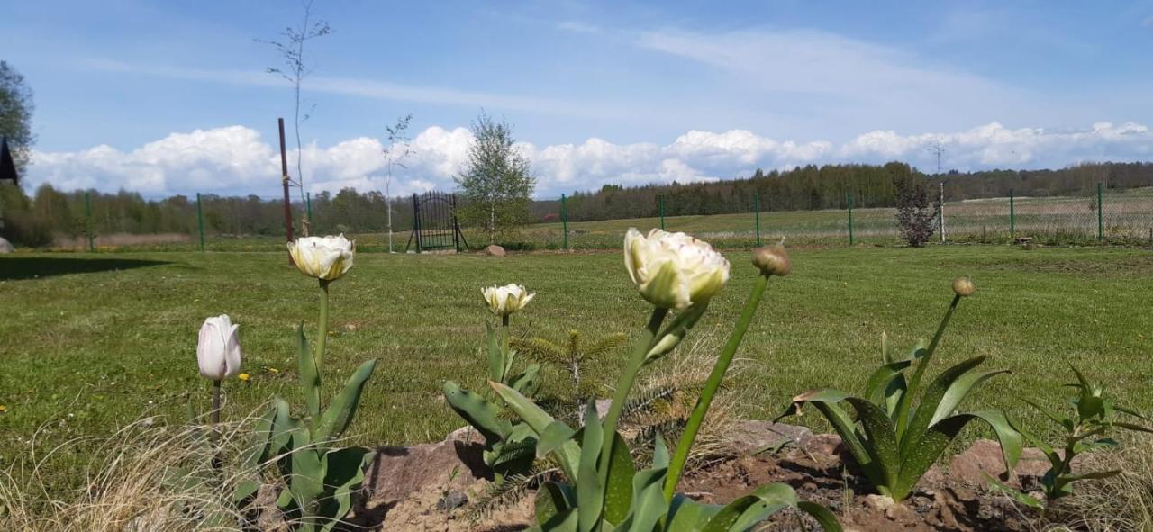 Villa Zacisze Pod Brzozami Kętrzyn Exterior foto