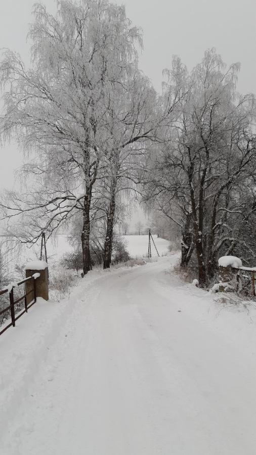 Villa Zacisze Pod Brzozami Kętrzyn Exterior foto